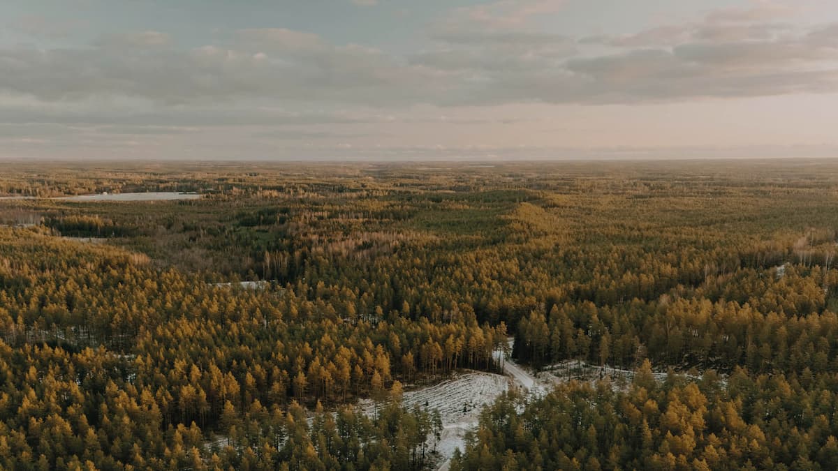 Månadsbrev januari 2026